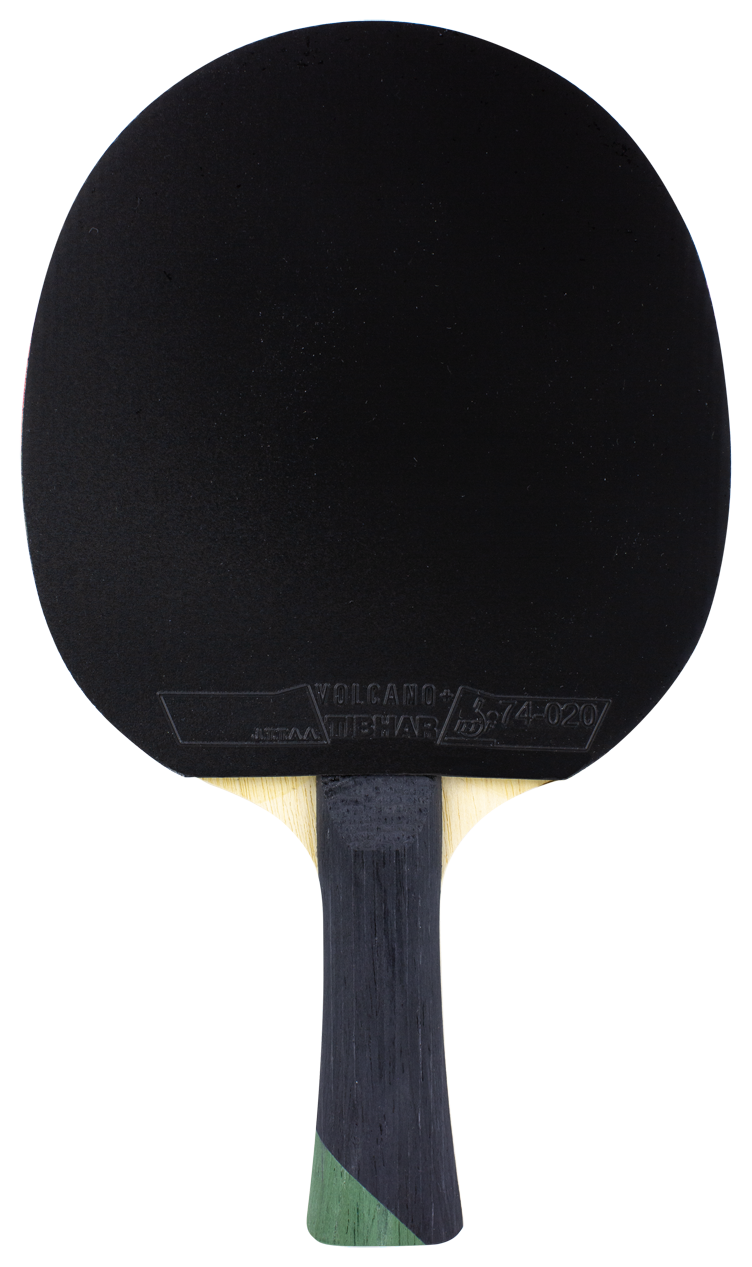 Master_Alexis_Lebrun_Bat_Back