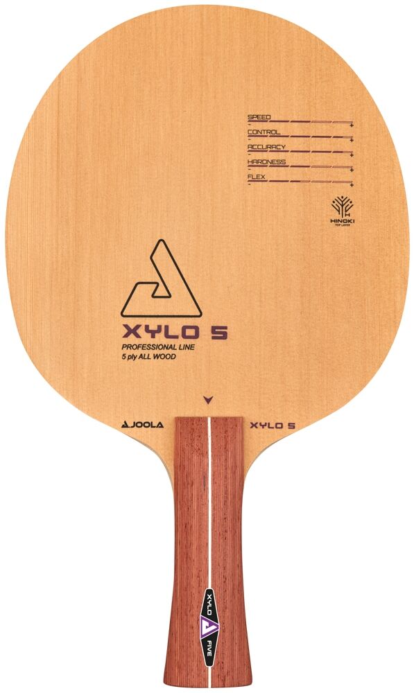 Joola Holz Xylo 5